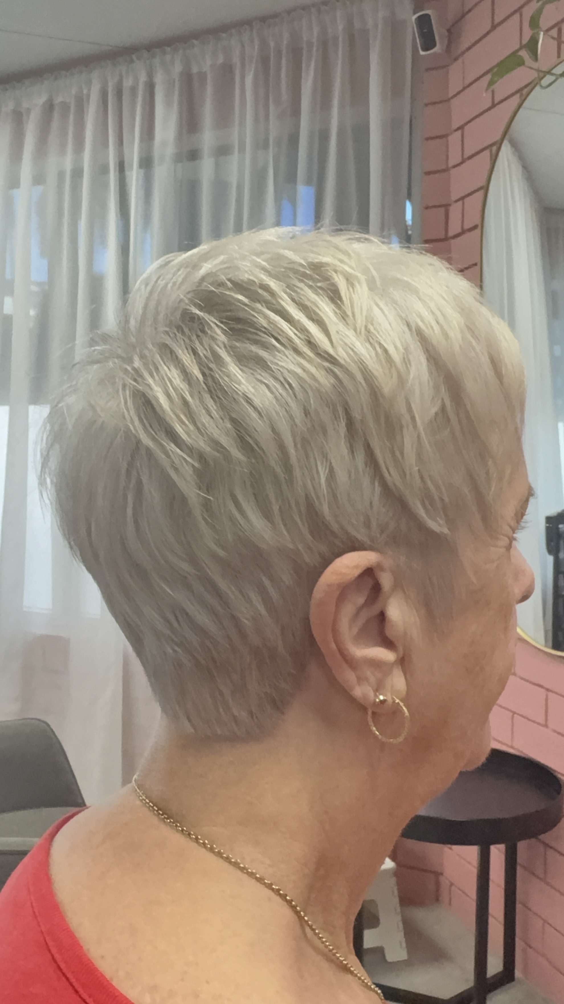 Silver pixie